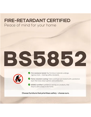 HOMCOM Electric Rise/Recline Armchair, with Reading Light - Brown