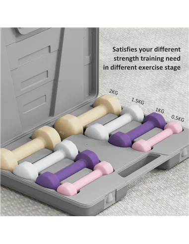 HOMCOM 10KG Dumbbells Set with Carry Case, Hand Weights for Women and Men Home Gym Weight Lifting Training, Pink, Purple, Grey, 