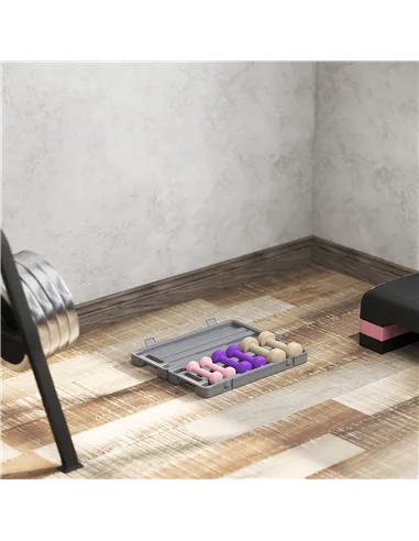 HOMCOM 6Kg Dumbbell Set, Fitness Weight Set for Men and Women, Home Gym Workout, Pink, Purple, Brown