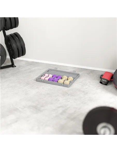 HOMCOM 6Kg Dumbbell Set, Fitness Weight Set for Men and Women, Home Gym Workout, Pink, Purple, Brown