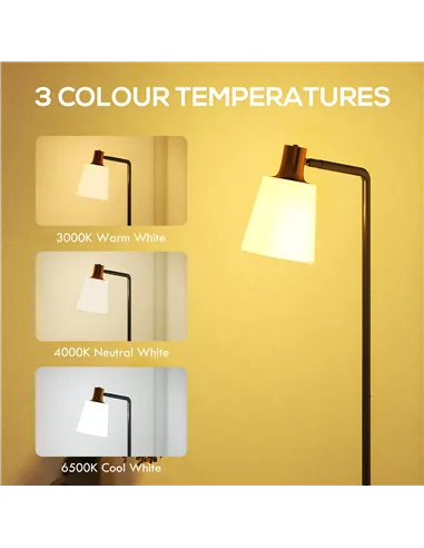 HOMCOM Floor Lamp with 350° Rotatable Head, Modern Standing Lamp with 3000K/4000K/6500K Colour Temperatures for Living Room Bedr