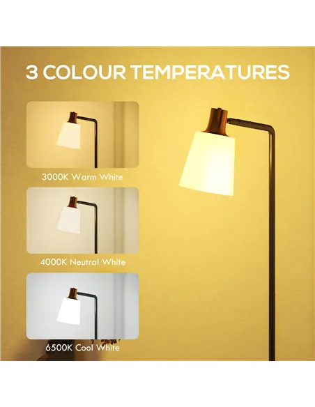 HOMCOM Floor Lamp with 350° Rotatable Head, Modern Standing Lamp with 3000K/4000K/6500K Colour Temperatures for Living Room Bedr