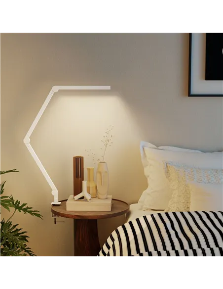 HOMCOM LED Desk Lamp, Dimmable Desk Light with Swing Arm and Clamp, Adjustable Eye-Caring Table Lamp with 2 Colour Modes & 5 Bri