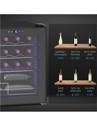 HOMCOM 42L 16-Bottle Wine Cooler Fridge - Black