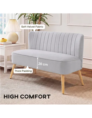 HOMCOM Modern Velvet Double Seat Sofa w/ Wood Frame Foam Padding Soft Comfortable Compact Couch Light Grey