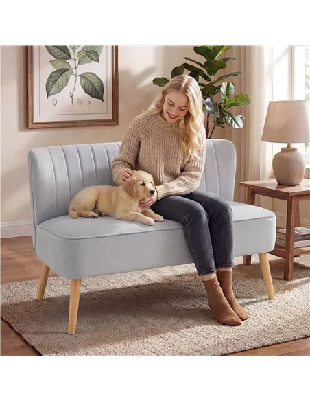 HOMCOM Modern Velvet Double Seat Sofa w/ Wood Frame Foam Padding Soft Comfortable Compact Couch Light Grey