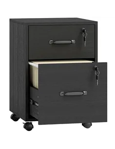 HOMCOM Rolling File Cabinet with 2 Drawers, Mobile Filing Cabinet with Hanging File Folder for Letter Sized Documents, Black