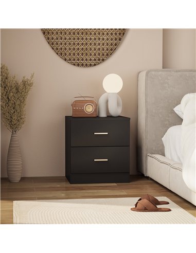 HOMCOM Modern Bedside Table, Beside Cabinet with 2 Drawers, for Bedroom, Living Room, Black