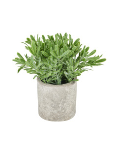 Hill Interiors Buxus Plant In Stone Effect Pot 22095 - Authentic Hill Interiors furniture directly from FastDaddy UK. Exclusive