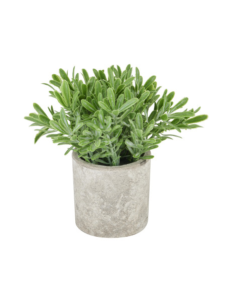 Hill Interiors Buxus Plant In Stone Effect Pot 22095 - Authentic Hill Interiors furniture directly from FastDaddy UK. Exclusive