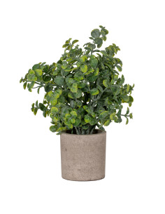 Hill Interiors Eucalyptus Plant In Stone Effect Pot 22094 - Authentic Hill Interiors furniture directly from FastDaddy UK. Excl
