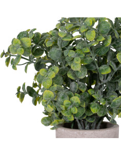 Hill Interiors Eucalyptus Plant In Stone Effect Pot 22094 - Authentic Hill Interiors furniture directly from FastDaddy UK. Excl 2