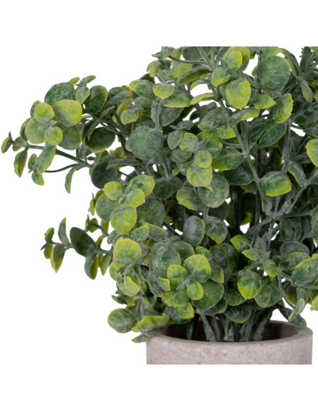 Buy Hill Interiors 22094 Eucalyptus Plant In Stone Effect Pot online in UK with fast delivery from FastDaddy UK, your furniture