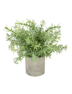 Hill Interiors Rosemary Plant In Stone Effect Pot 22097 - Authentic Hill Interiors furniture directly from FastDaddy UK. Exclus