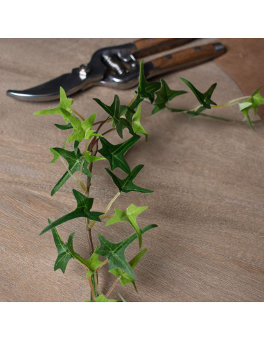 Full dimensions and specifications of Hill Interiors Small Ivy Garland 21308: Height 170.00cm, Width 5.00cm, perfect for your l