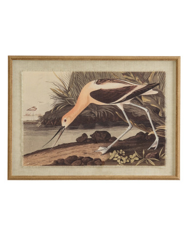 Hill Interiors Flora & Fauna Collection Avocet On Linen In Beaded Frame 24190 - Authentic Hill Interiors furniture directly fro