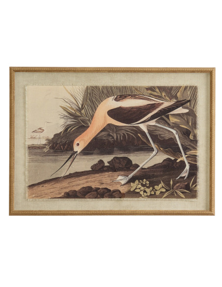 Hill Interiors Flora & Fauna Collection Avocet On Linen In Beaded Frame 24190 - Authentic Hill Interiors furniture directly fro