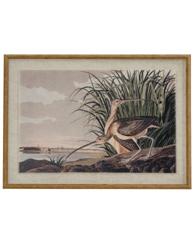 Hill Interiors Flora & Fauna Collection Curlews On Linen In Beaded Frame 24186 - Authentic Hill Interiors furniture directly fr