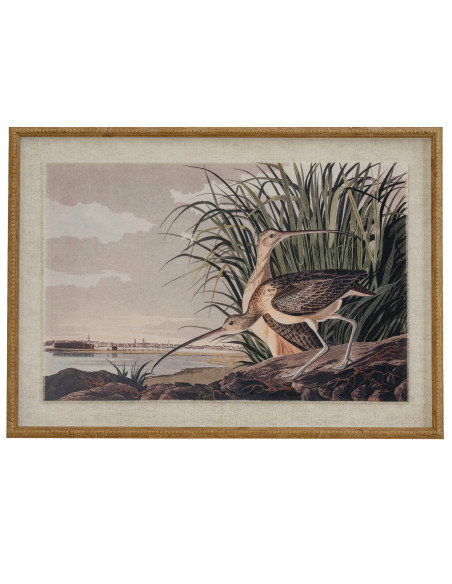 Hill Interiors Flora & Fauna Collection Curlews On Linen In Beaded Frame 24186 - Authentic Hill Interiors furniture directly fr