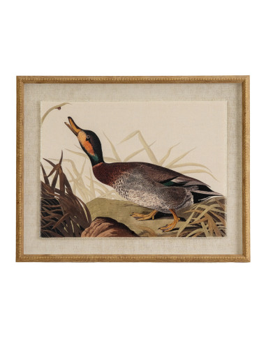 Hill Interiors Flora & Fauna Collection Duck On Linen In Beaded Frame 24199 - Authentic Hill Interiors furniture directly from