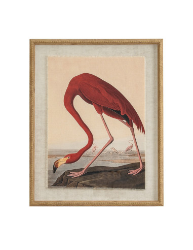 Hill Interiors Flora & Fauna Collection Flamingo On Linen In Beaded Frame 24184 - Authentic Hill Interiors furniture directly f