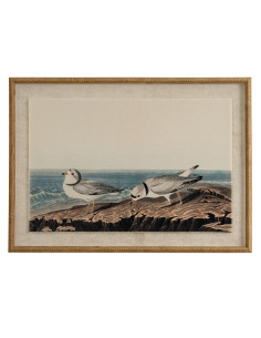 Hill Interiors Flora & Fauna Collection Plovers On Linen In Beaded Frame 24191 - Authentic Hill Interiors furniture directly fr