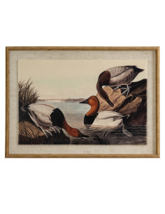 Hill Interiors Flora & Fauna Collection Pochards On Linen In Beaded Frame 24187 - Authentic Hill Interiors furniture directly f
