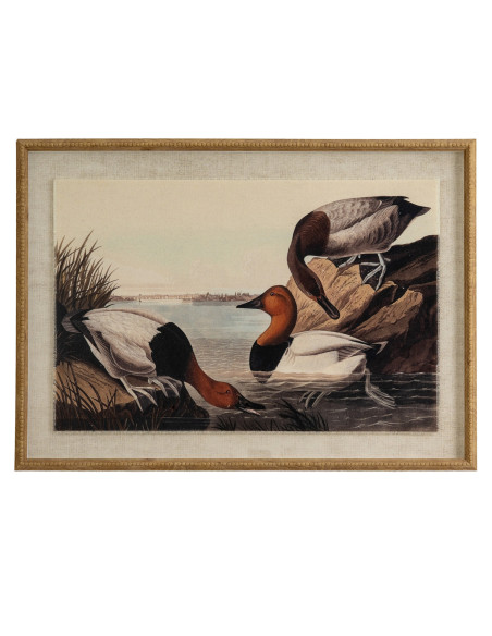 Hill Interiors Flora & Fauna Collection Pochards On Linen In Beaded Frame 24187 - Authentic Hill Interiors furniture directly f