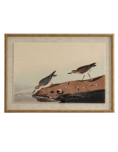 Hill Interiors Flora & Fauna Collection Stints On Linen In Beaded Frame 24188 - Authentic Hill Interiors furniture directly fro