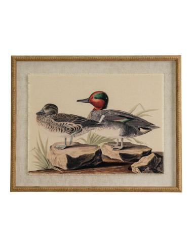 Hill Interiors Flora & Fauna Collection Teals On Linen In Beaded Frame 24198 - Authentic Hill Interiors furniture directly from