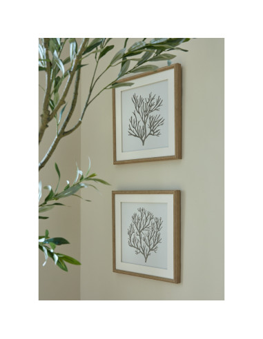 Full dimensions and specifications of Hill Interiors Reef Coral Art Mounted In Beaded Frame 23803: Height 40.00cm, Width 40.00c