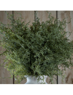 Affordable industrial style furniture Hill Interiors Asparagus Fern Bunch 20915 for modern home decor, free shipping options an 2
