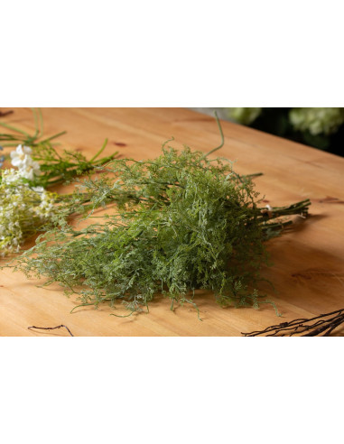 Full dimensions and specifications of Hill Interiors Asparagus Fern Bunch 20915: Height 57.00cm, Width 31.00cm, perfect for you