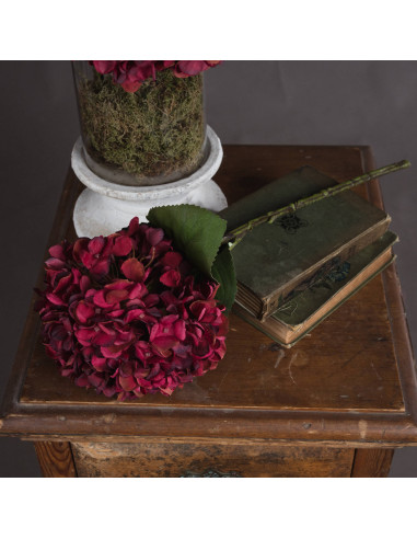 Buy Hill Interiors 19067 Autumn Ruby Hydrangea online in UK with fast delivery from FastDaddy UK, your furniture expert.