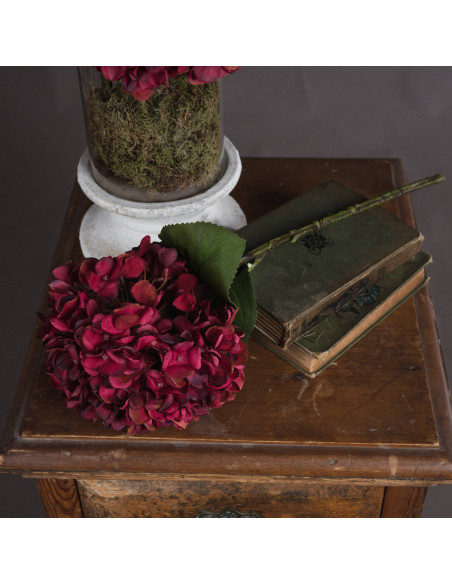 Buy Hill Interiors 19067 Autumn Ruby Hydrangea online in UK with fast delivery from FastDaddy UK, your furniture expert.