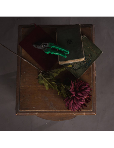 Buy Hill Interiors 18924 Autumn Spider Chrysanthemum online in UK with fast delivery from FastDaddy UK, your furniture expert.