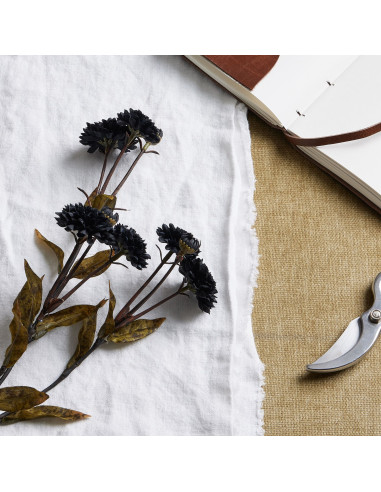 Buy Hill Interiors 22733 Black Chrysanthemum online in UK with fast delivery from FastDaddy UK, your furniture expert.