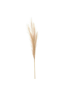 Hill Interiors Bleached Faux Pampas Grass Stem 22107 - Authentic Hill Interiors furniture directly from FastDaddy UK. Exclusive
