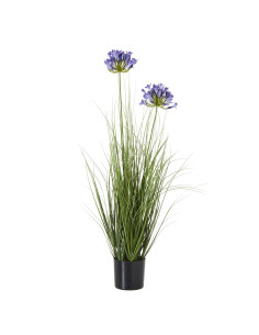 Hill Interiors Blue Agapanthus Plant In Pot 23718 - Authentic Hill Interiors furniture directly from FastDaddy UK. Exclusive co