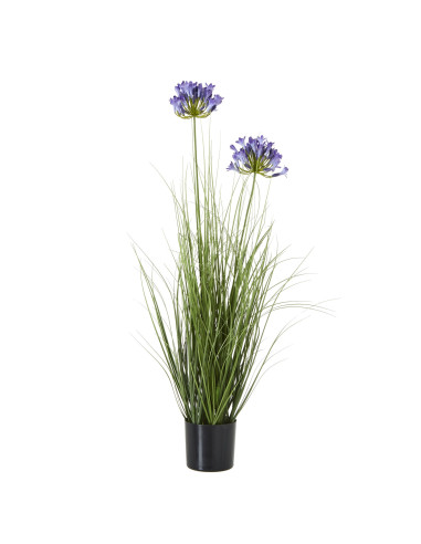 Hill Interiors Blue Agapanthus Plant In Pot 23718 - Authentic Hill Interiors furniture directly from FastDaddy UK. Exclusive co