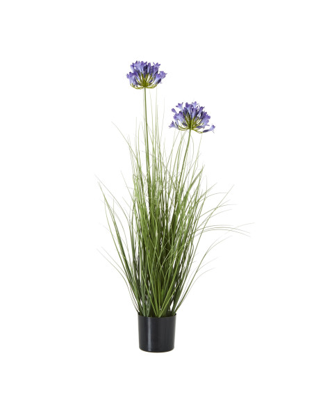 Hill Interiors Blue Agapanthus Plant In Pot 23718 - Authentic Hill Interiors furniture directly from FastDaddy UK. Exclusive co
