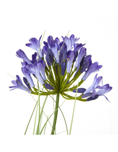 Buy Hill Interiors 23718 Blue Agapanthus Plant In Pot online in UK with fast delivery from FastDaddy UK, your furniture expert.