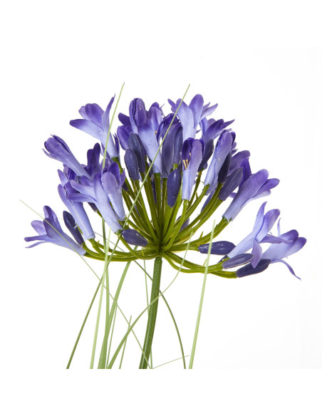 Buy Hill Interiors 23718 Blue Agapanthus Plant In Pot online in UK with fast delivery from FastDaddy UK, your furniture expert.