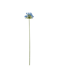 Hill Interiors Blue Agapanthus Stem 23867 - Authentic Hill Interiors furniture directly from FastDaddy UK. Exclusive collection