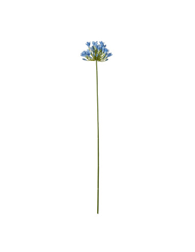 Hill Interiors Blue Agapanthus Stem 23867 - Authentic Hill Interiors furniture directly from FastDaddy UK. Exclusive collection