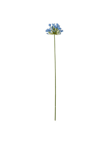 Hill Interiors Blue Agapanthus Stem 23867 - Authentic Hill Interiors furniture directly from FastDaddy UK. Exclusive collection
