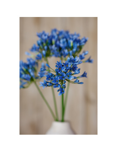 Full dimensions and specifications of Hill Interiors Blue Agapanthus Stem 23867: Height 75.00cm, Width 15.00cm, perfect for you