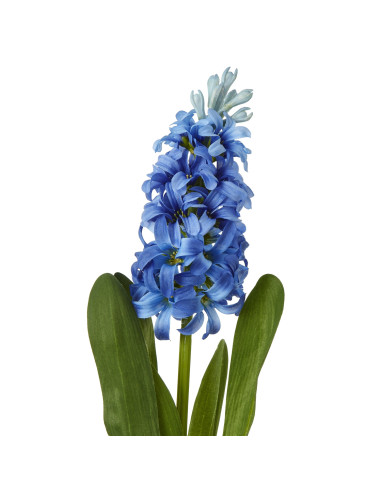 Buy Hill Interiors 23875 Blue Hyacinth Stem online in UK with fast delivery from FastDaddy UK, your furniture expert.