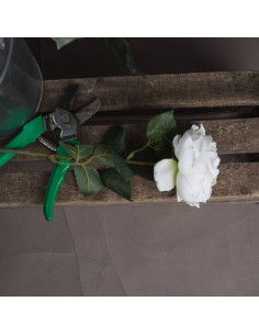 Buy Hill Interiors 18945 Blush Garden Rose online in UK with fast delivery from FastDaddy UK, your furniture expert.