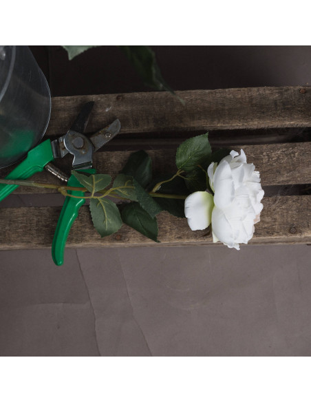 Buy Hill Interiors 18945 Blush Garden Rose online in UK with fast delivery from FastDaddy UK, your furniture expert.